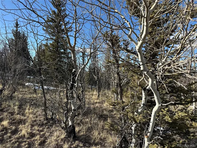 $105,000 | 280 Welsh Cob Lane, Jefferson, CO 80456