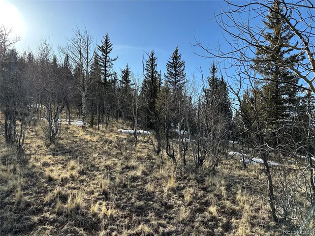 $105,000 | 280 Welsh Cob Lane, Jefferson, CO 80456