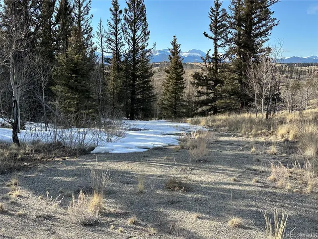 a view of a yard with a tree