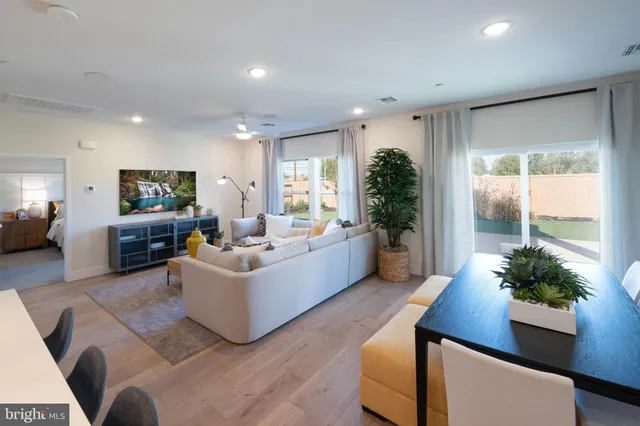 a living room with furniture potted plant and a large window