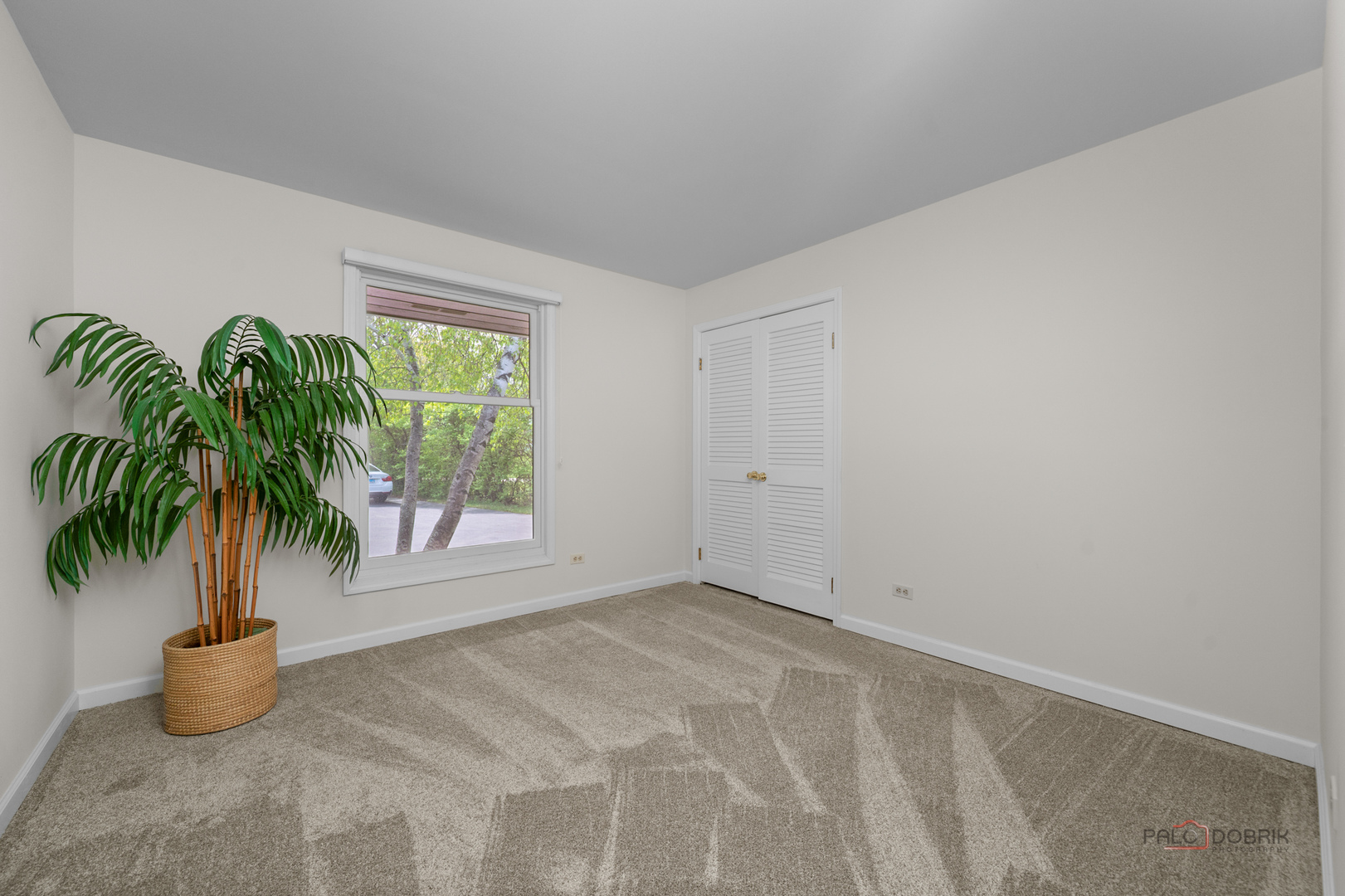 18620 McGuire Road Harvard, IL 60033 - Photo 18 of 40 an empty room with potted plants and a potted plant