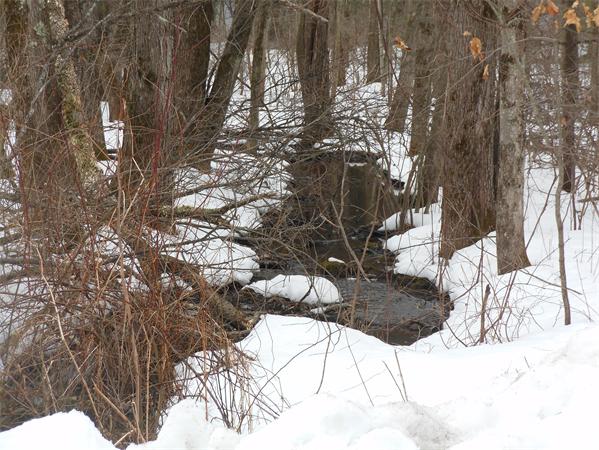 22-acres Fowler Road Westfield, MA 01085 - Photo 2 of 7 Gallery Image 2