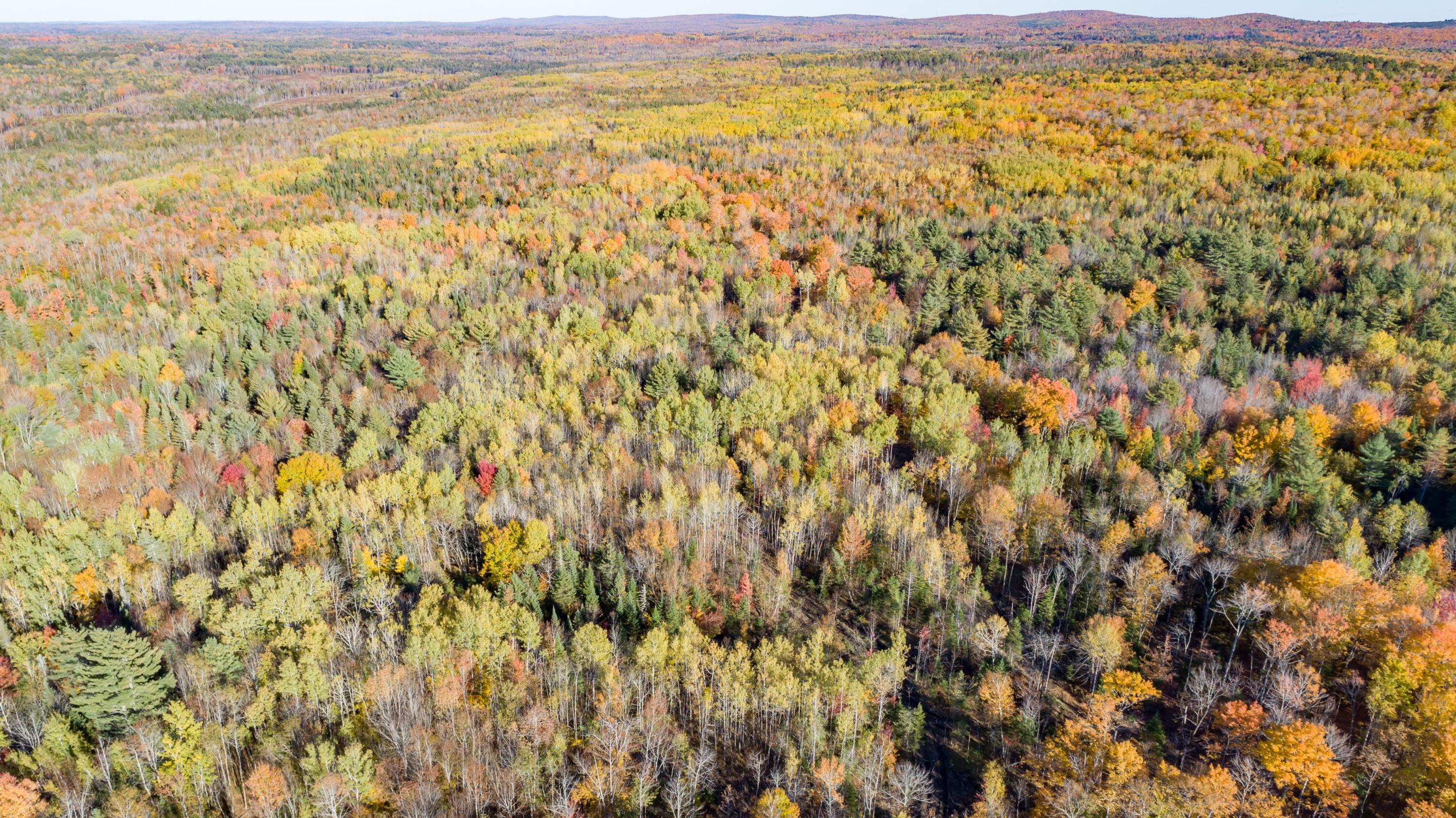 Lot 13 Lot Road Dexter, ME 04930 - Photo 7 of 9 DJI_0113
