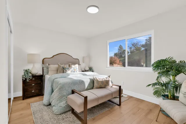 a living room with furniture flowerpot and window