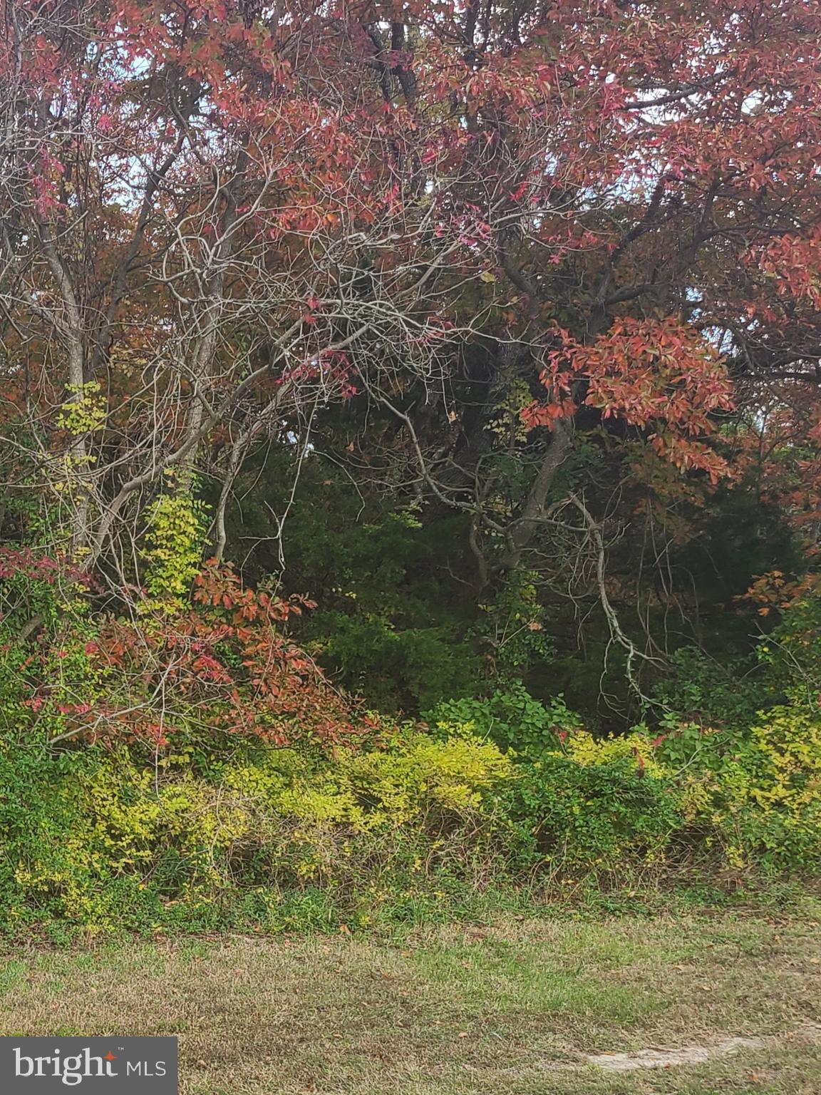 71 Factory Road Cedarville, NJ 08311 - Photo 1 of 1 Gallery Image 1