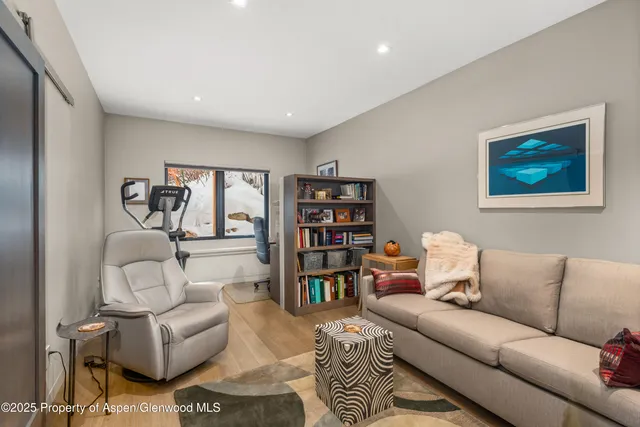 a living room with furniture and a couch