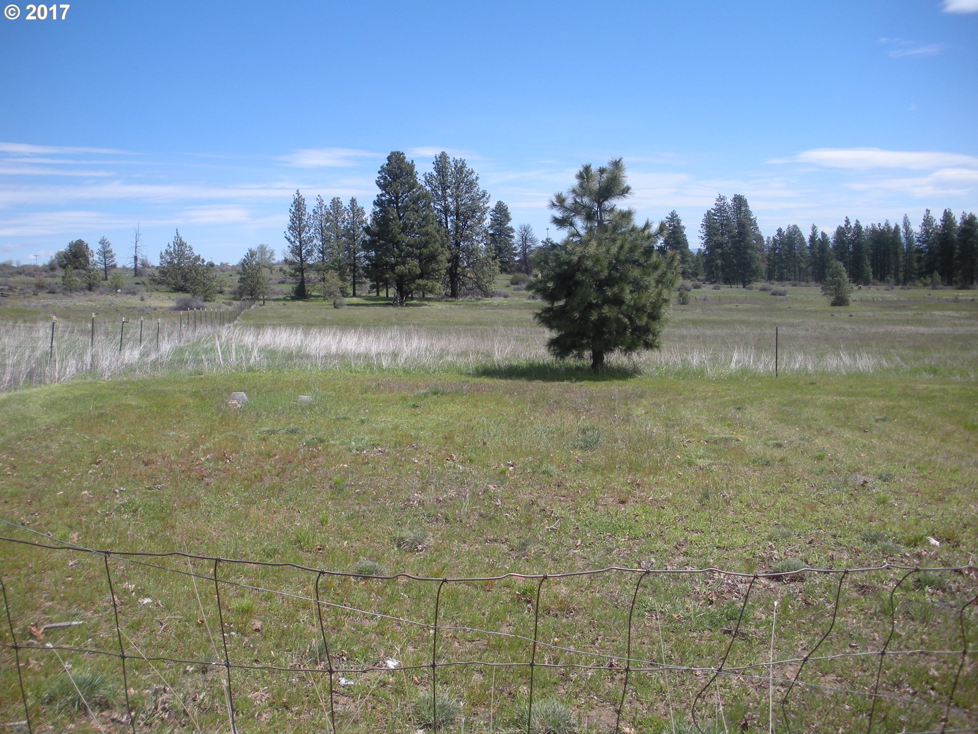 3 Pine Hollow Access Road Wamic, OR 97063 - Photo 12 of 23 Gallery Image 12