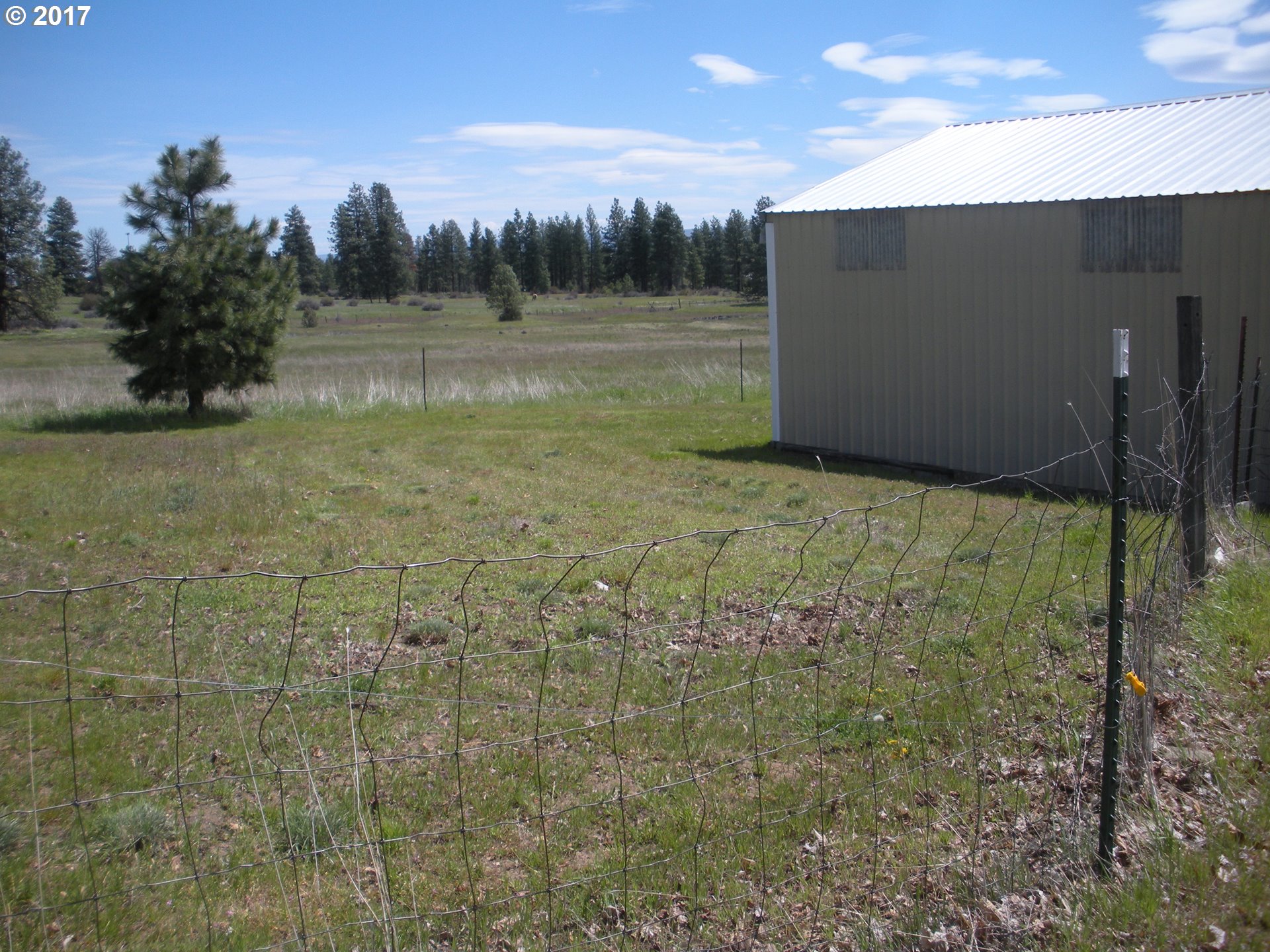 3 Pine Hollow Access Road Wamic, OR 97063 - Photo 13 of 23 Gallery Image 13