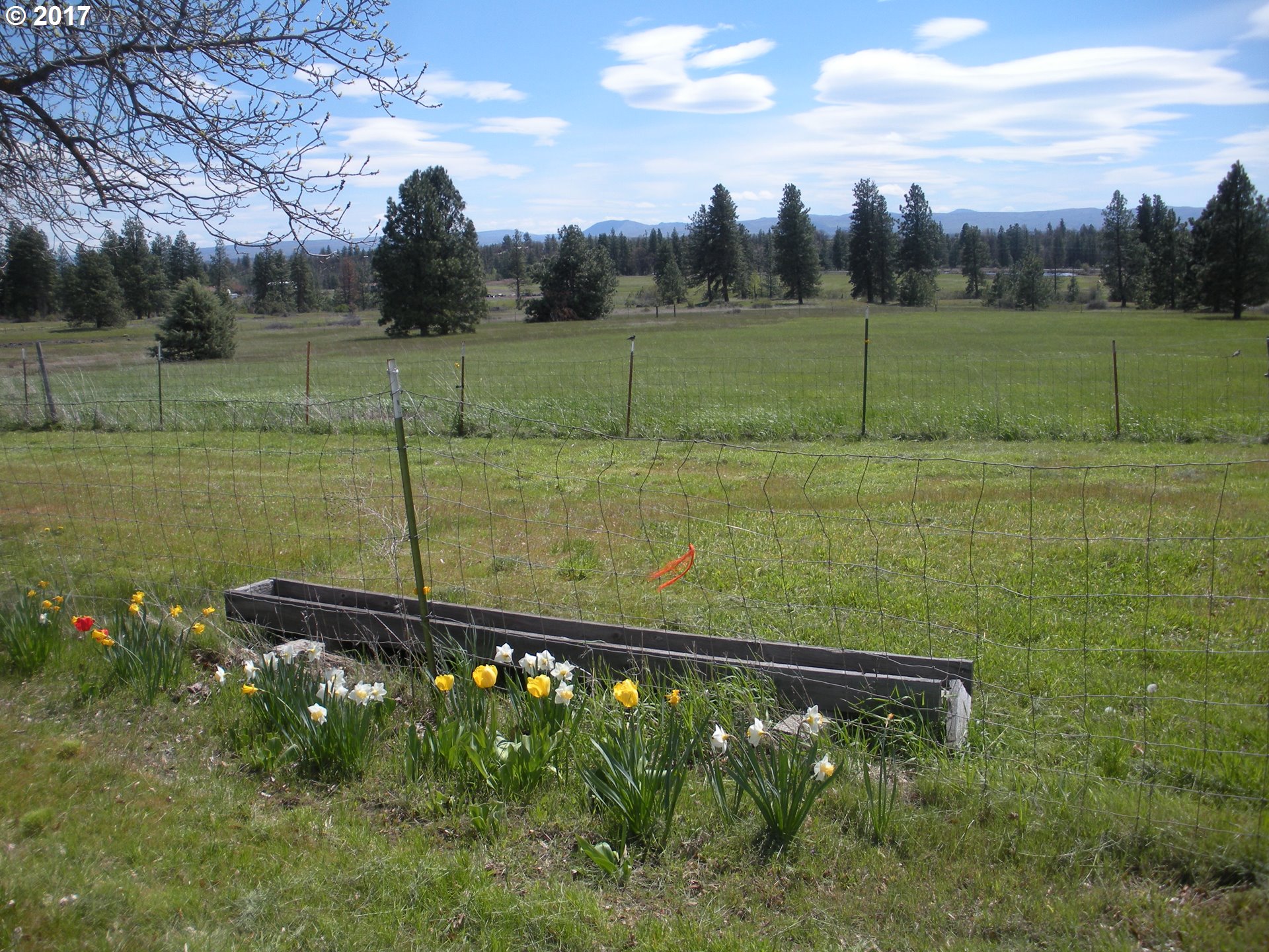 3 Pine Hollow Access Road Wamic, OR 97063 - Photo 14 of 23 Gallery Image 14