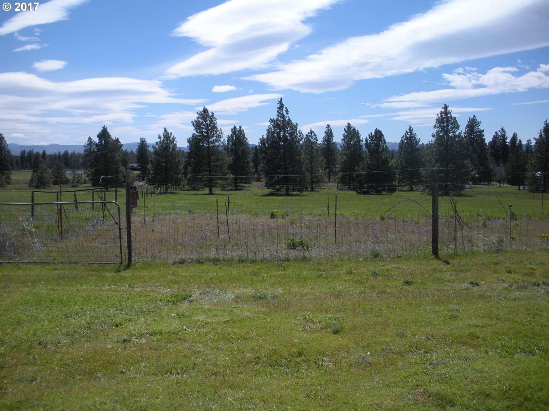 3 Pine Hollow Access Road Wamic, OR 97063 - Photo 16 of 23 Gallery Image 16