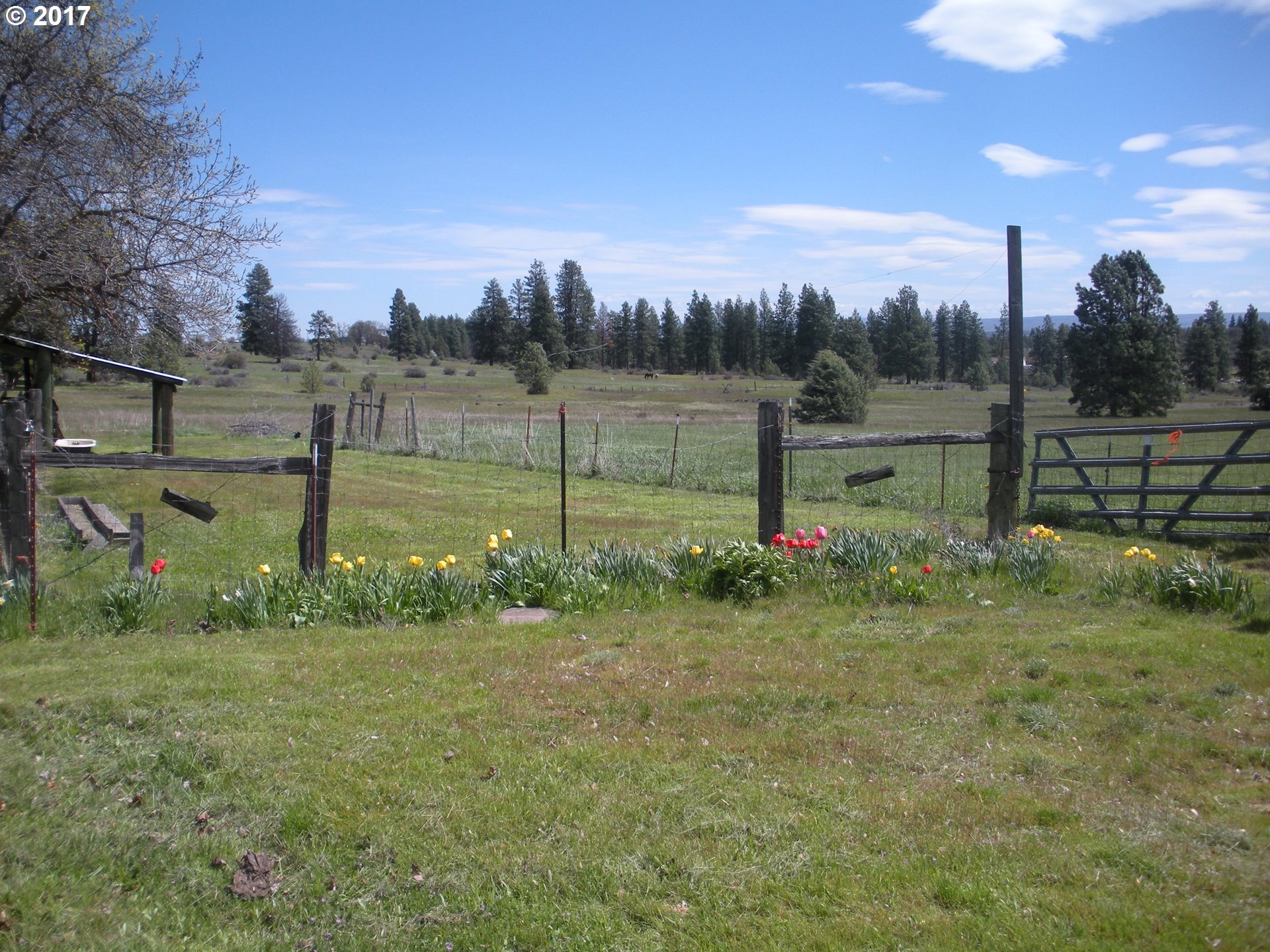 3 Pine Hollow Access Road Wamic, OR 97063 - Photo 17 of 23 Gallery Image 17