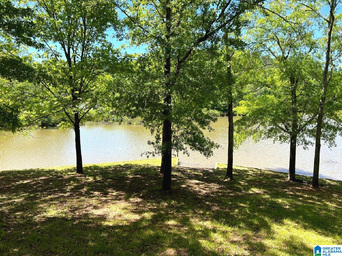 244 County Road 2011 Delta, AL 36258 - Photo 13 of 29