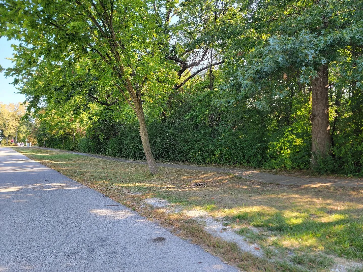 125 South Delany Road Gurnee, IL 60031 - Photo 5 of 7 a view of backyard of green space