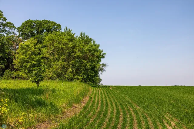 $1 | Tbd Southeast Tbd Se 410th Street, Fosston, MN 56542