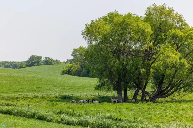 $1 | Tbd Southeast Tbd Se 410th Street, Fosston, MN 56542