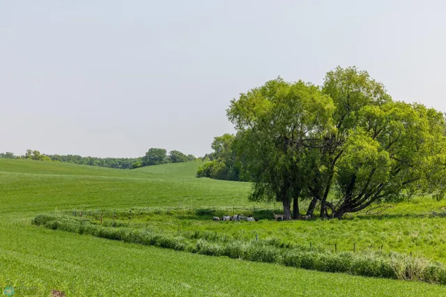 $1 | Tbd Southeast Tbd Se 410th Street, Fosston, MN 56542