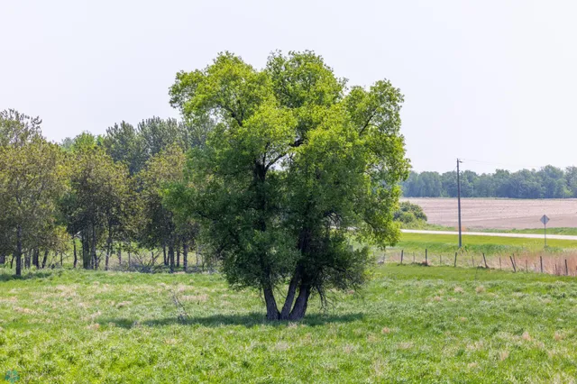 $1 | Tbd Southeast Tbd Se 410th Street, Fosston, MN 56542