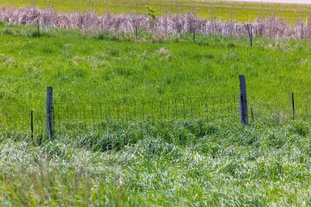 $1 | Tbd Southeast Tbd Se 410th Street, Fosston, MN 56542