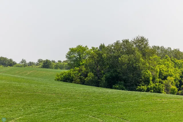 $1 | Tbd Southeast Tbd Se 410th Street, Fosston, MN 56542