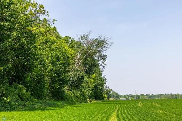 $1 | Tbd Southeast Tbd Se 410th Street, Fosston, MN 56542