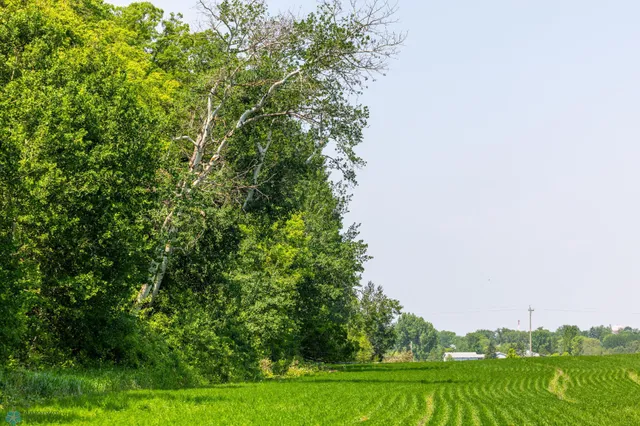 $1 | Tbd Southeast Tbd Se 410th Street, Fosston, MN 56542