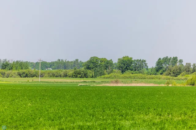 $1 | Tbd Southeast Tbd Se 410th Street, Fosston, MN 56542