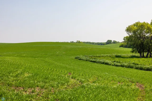 $1 | Tbd Southeast Tbd Se 410th Street, Fosston, MN 56542