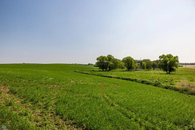 $1 | Tbd Southeast Tbd Se 410th Street, Fosston, MN 56542