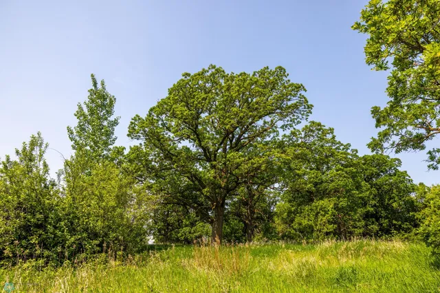 $1 | Tbd Southeast Tbd Se 410th Street, Fosston, MN 56542