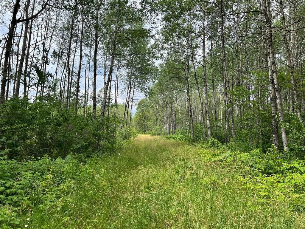 W37-xx Frog Creek Road Minong, WI 54859 - Photo 2 of 40 Trail Network on Property