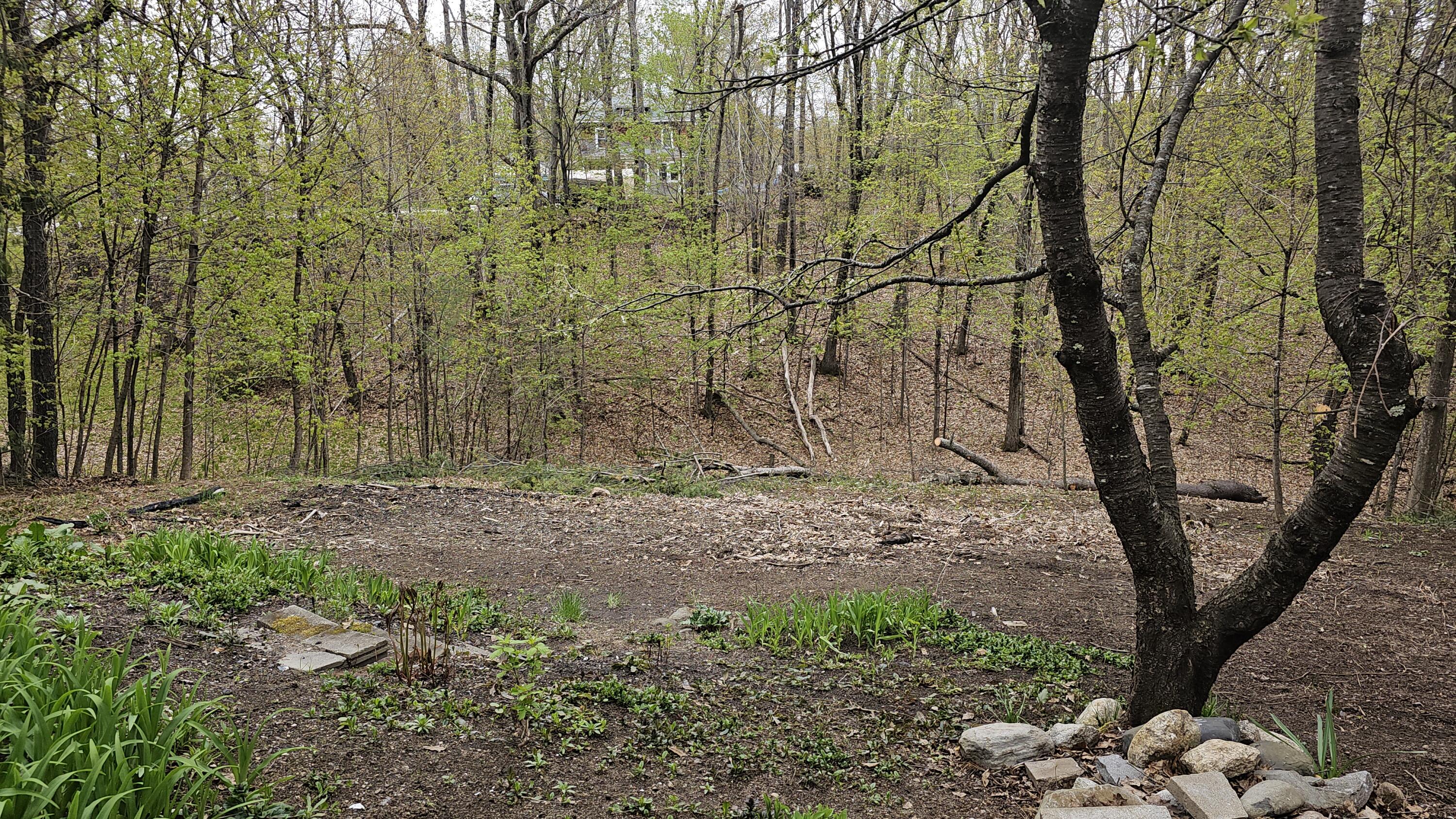 48 Pine Street Paris, ME 04281 - Photo 35 of 45 20240510_162719