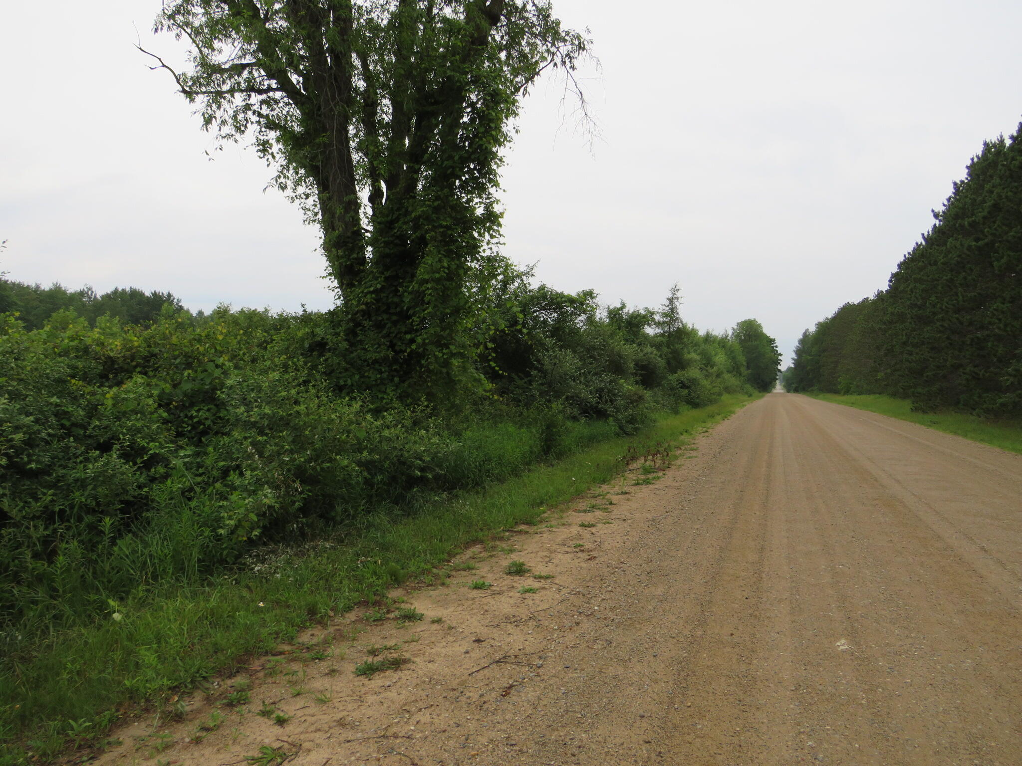 Hoover Road Barryton, MI 49305 - Photo 11 of 41 IMG_9528