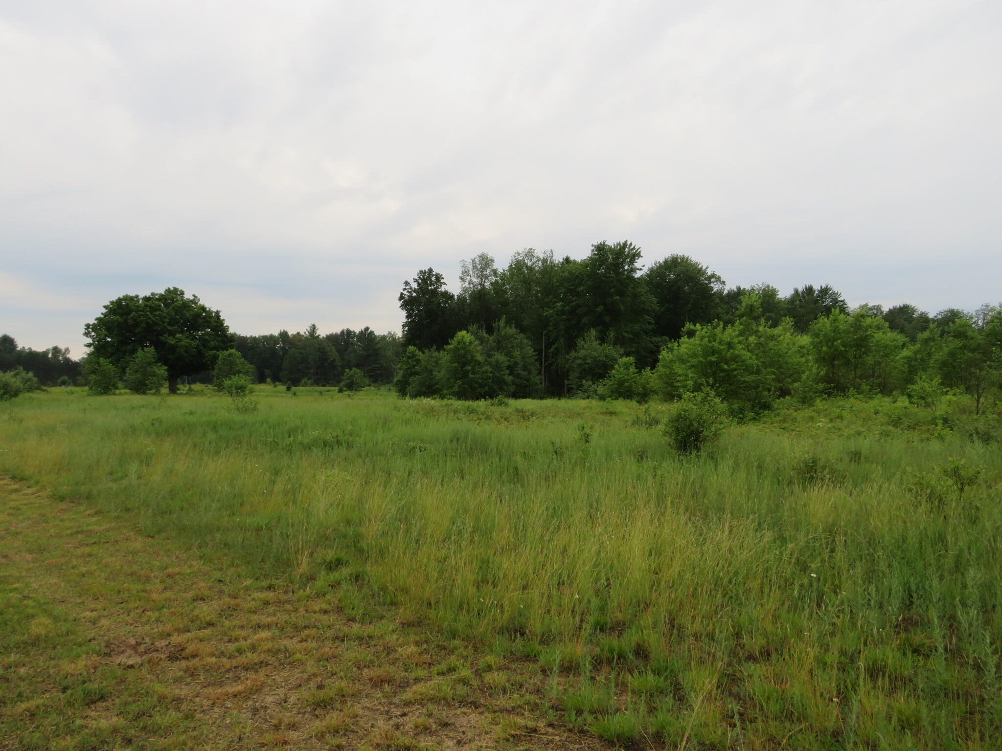Hoover Road Barryton, MI 49305 - Photo 12 of 41 IMG_9535