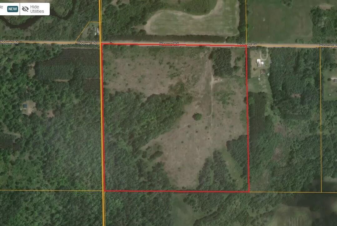Hoover Road Barryton, MI 49305 - Photo 38 of 41 Aerial2