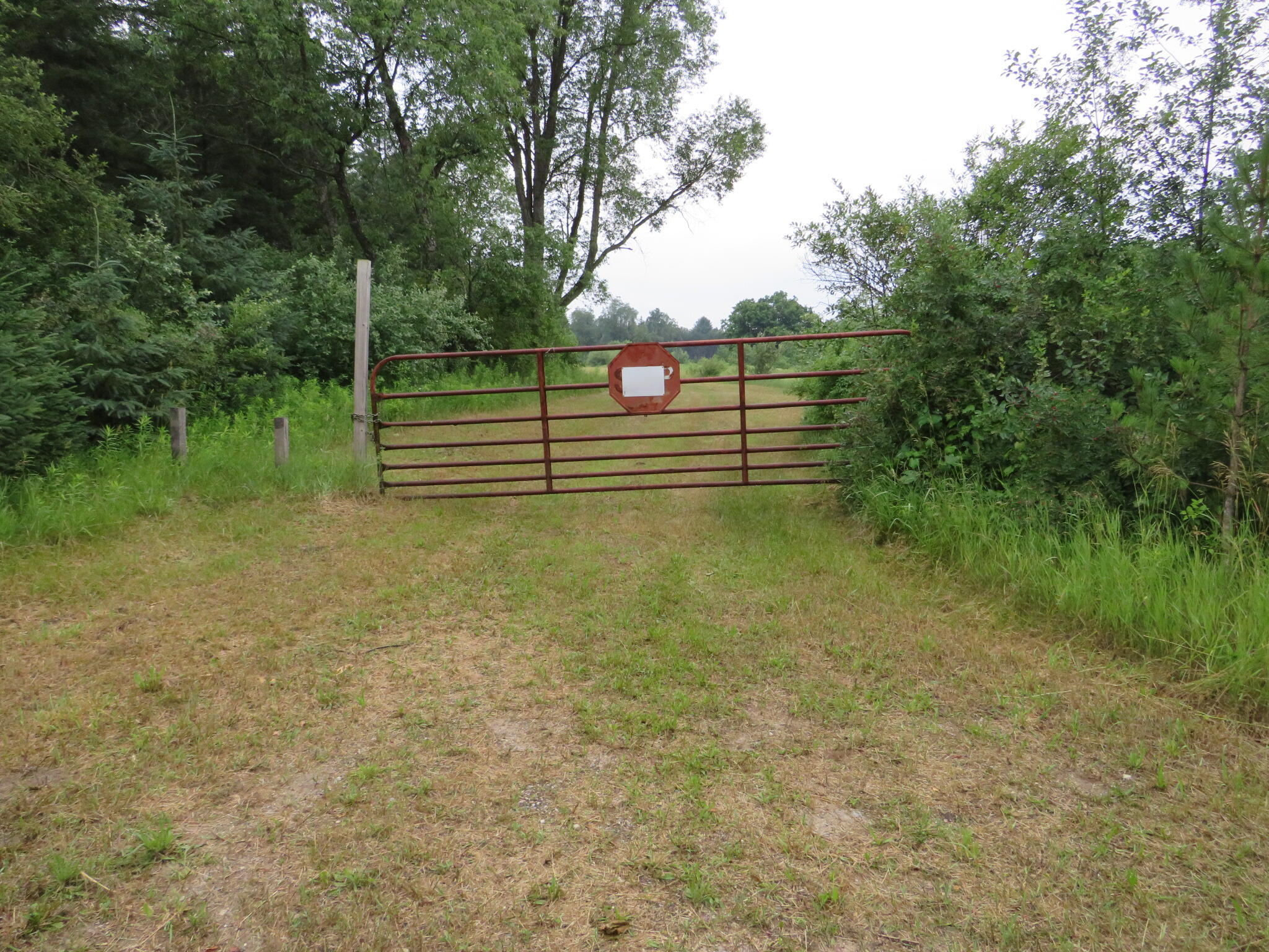 Hoover Road Barryton, MI 49305 - Photo 10 of 41 IMG_9526