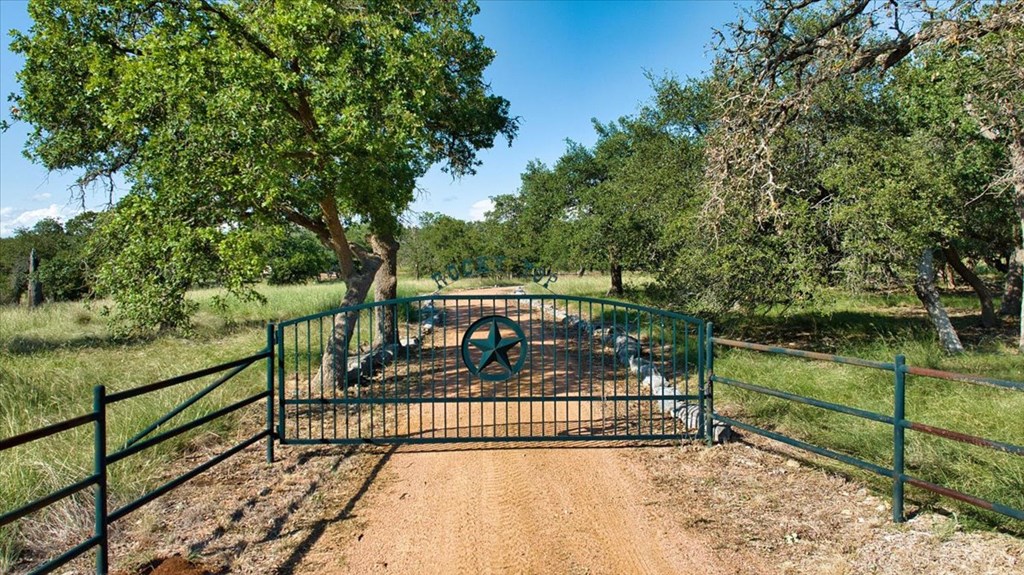 1411 Grape Creek Road Fredericksburg, TX 78624 - Photo 19 of 44