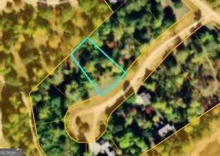 a view of a tree with a tree