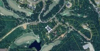 a close up of a plant in a garden