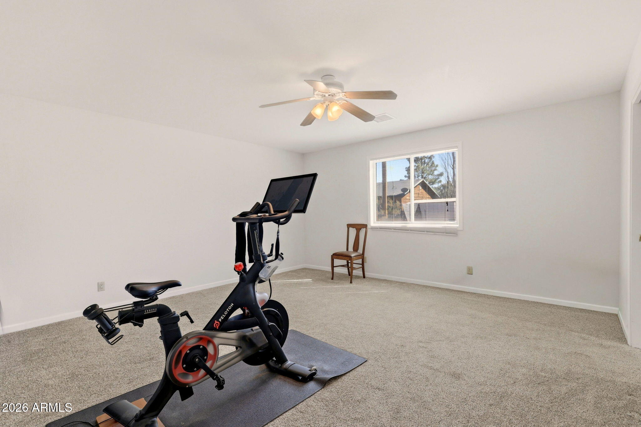 2746 Pineview Court Overgaard, AZ 85933 - Photo 16 of 30 a view of a room with gym equipment