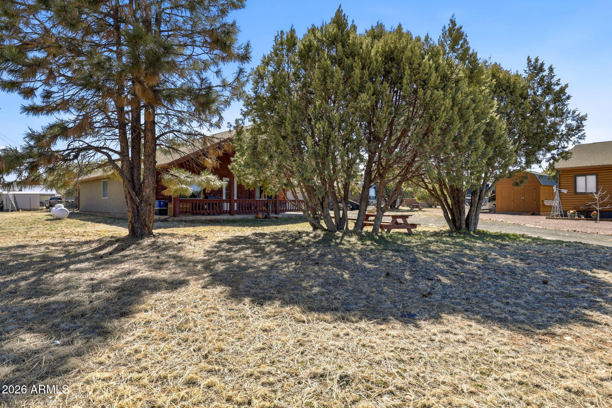 2746 Pineview Court Overgaard, AZ 85933 - Photo 4 of 30 a view of outdoor space with trees