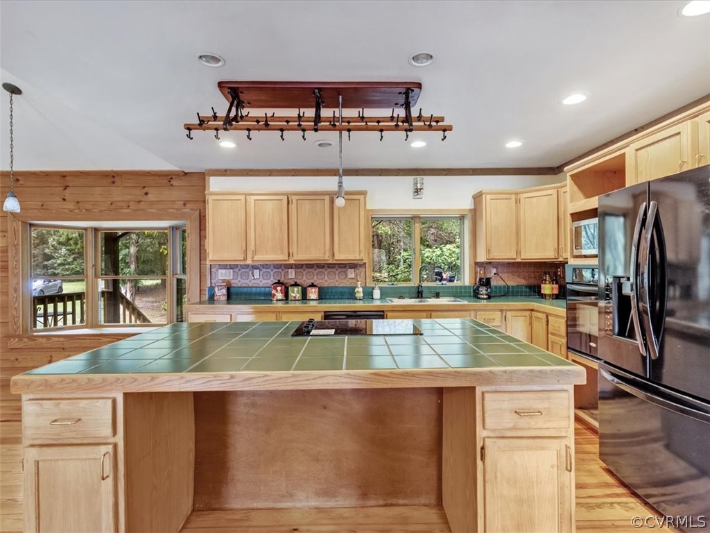 1281 Marlin Road Goochland, VA 23063 - Photo 16 of 48 Gallery Image 16