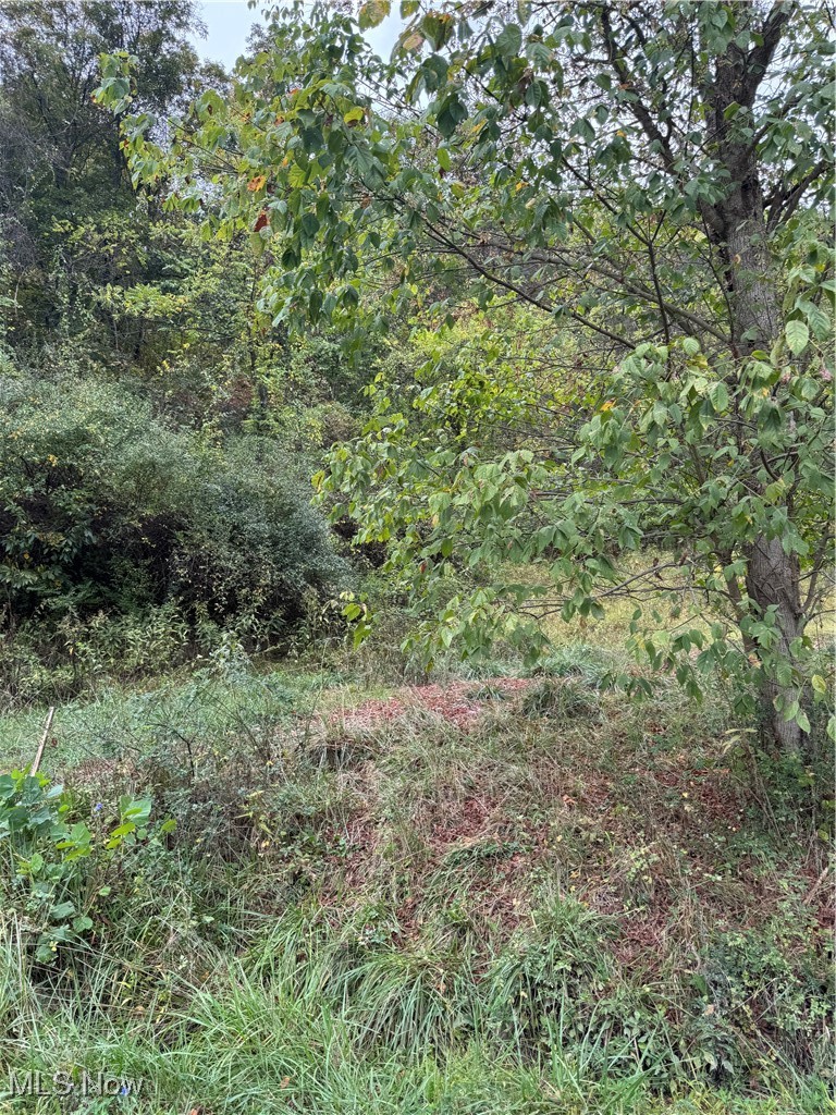 0 Lynn Camp Road Elizabeth, WV 26143 - Photo 4 of 6
