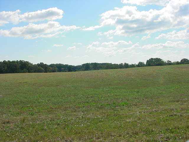 0 Sandy Springs Road Anderson, SC 29625 - Photo 3 of 5