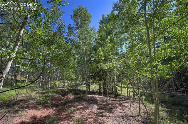 412 Princess Road Cripple Creek, CO 80813 - Photo 33 of 45 Gallery Image 33