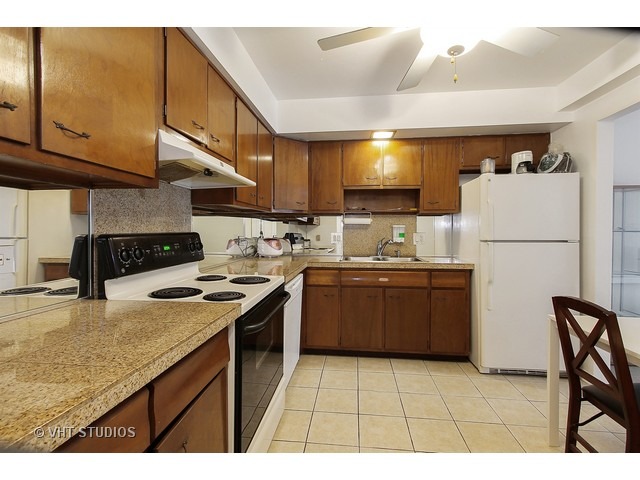 2206 South Goebbert Road, Unit 409 Arlington Heights, IL 60005 - Photo 3 of 17