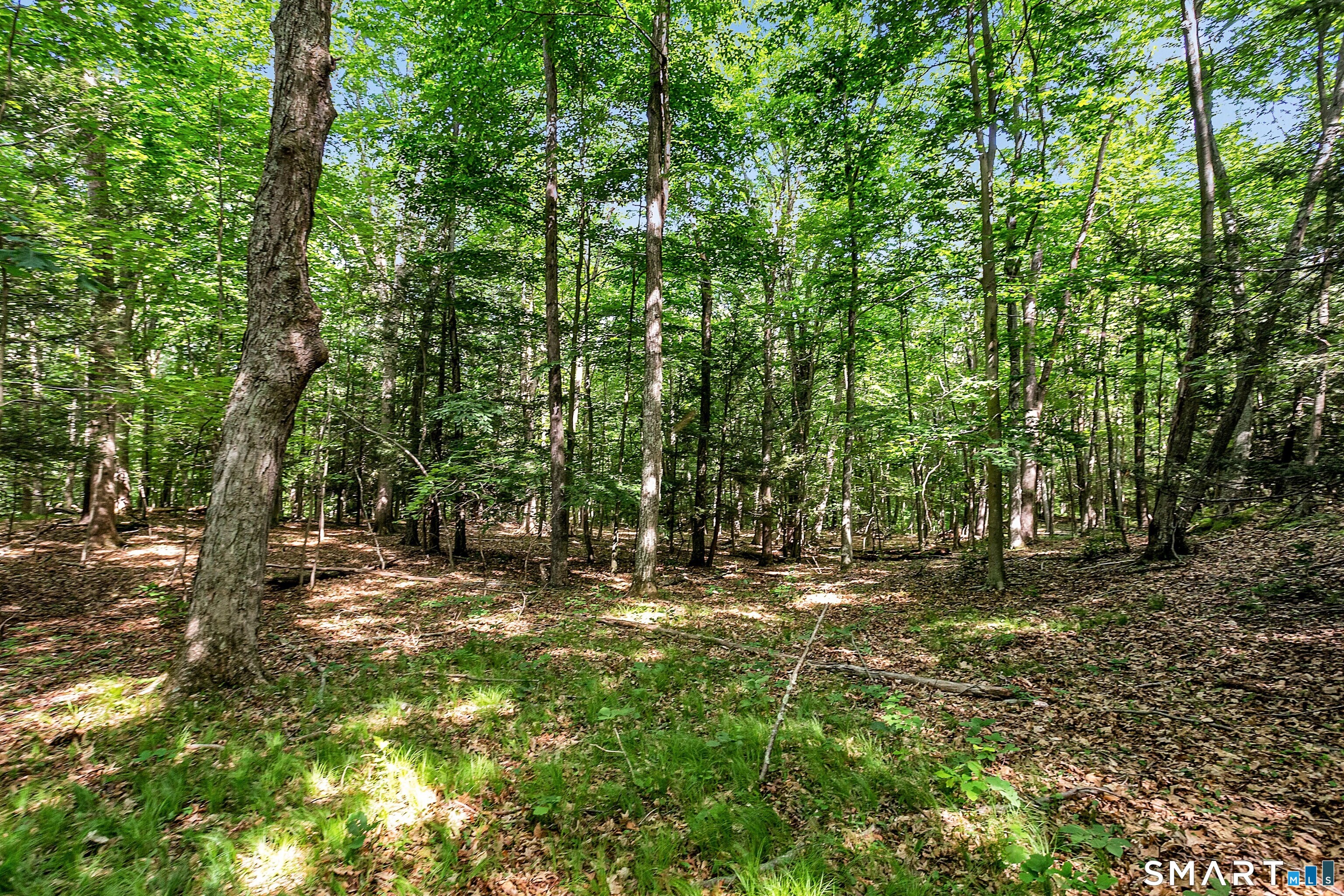 200 North Street Roxbury, CT 06783 - Photo 8 of 20