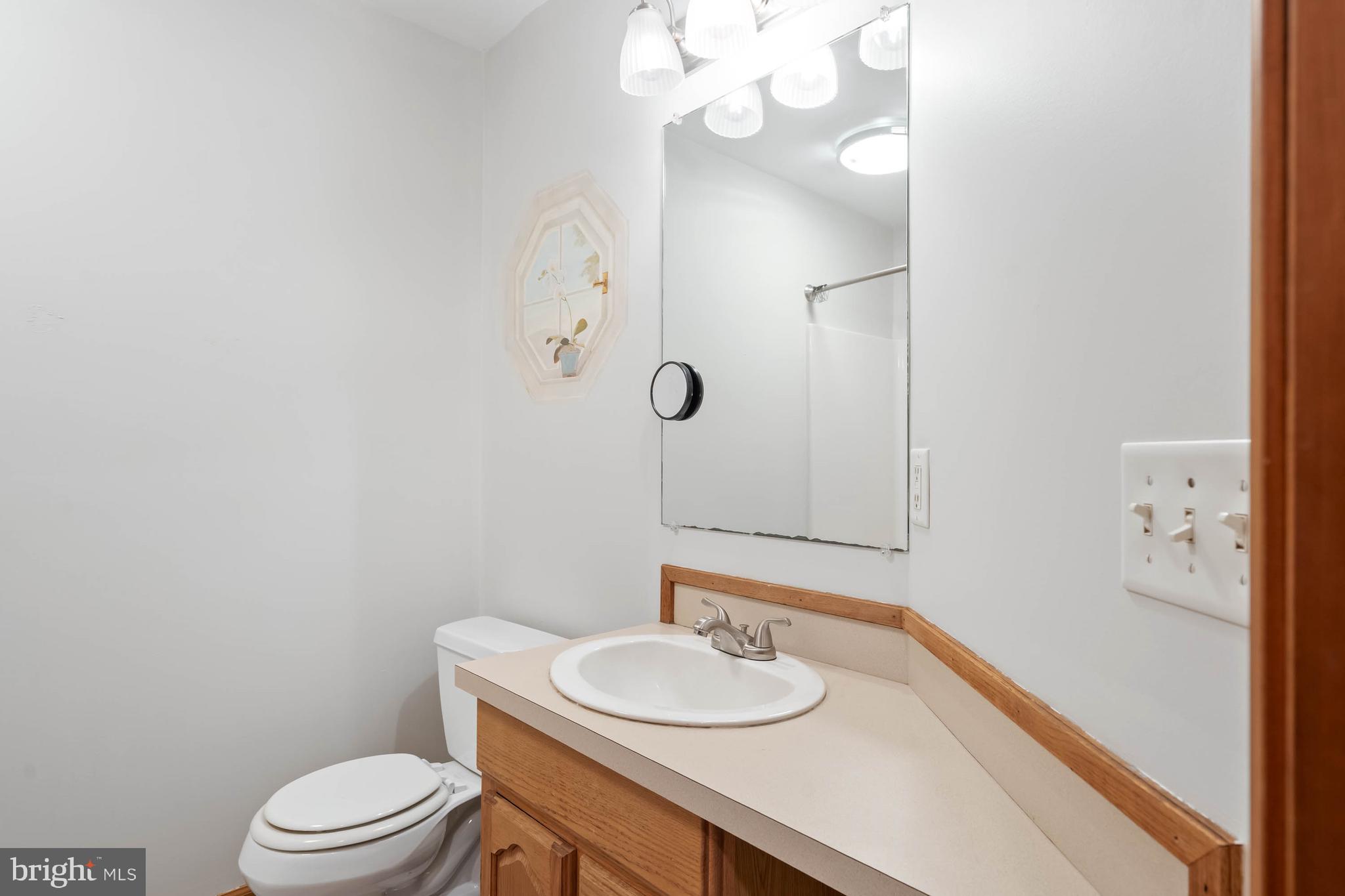 18885 Sand Hill Road Milton, DE 19968 - Photo 32 of 46 a bathroom with a sink vanity mirror and toilet