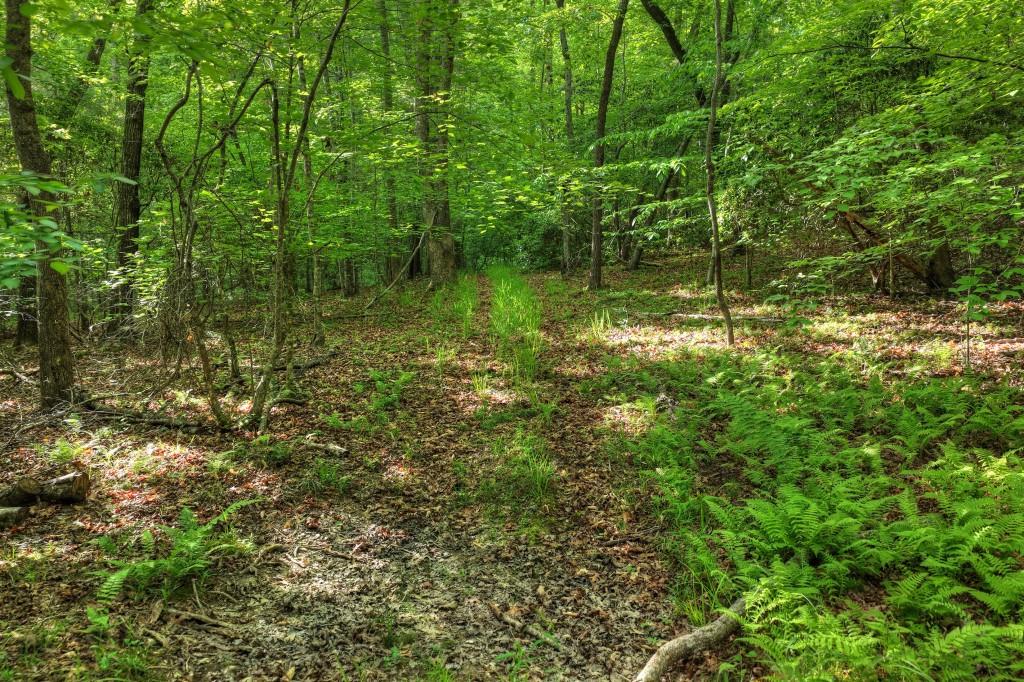 8.52 Ac Mcnelley Road Morganton, GA 30560 - Photo 26 of 47