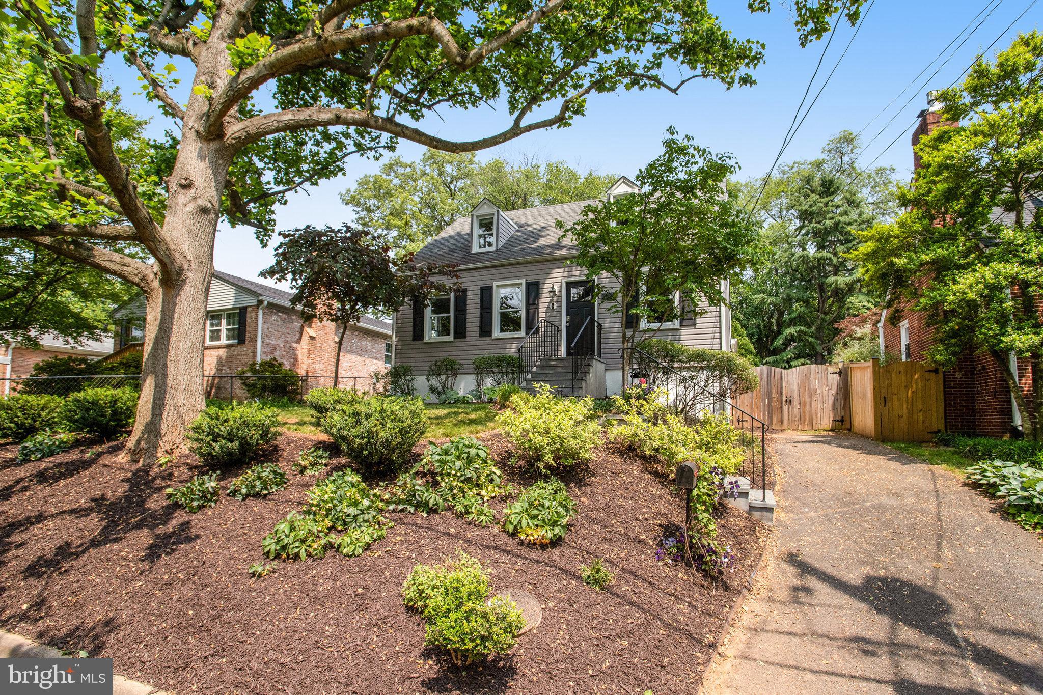 Landscaped Yard