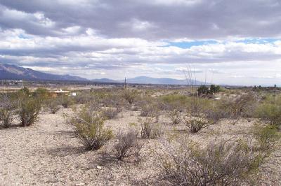 5171 North Silverbell Road Tucson, AZ 85745 - Photo 5 of 7